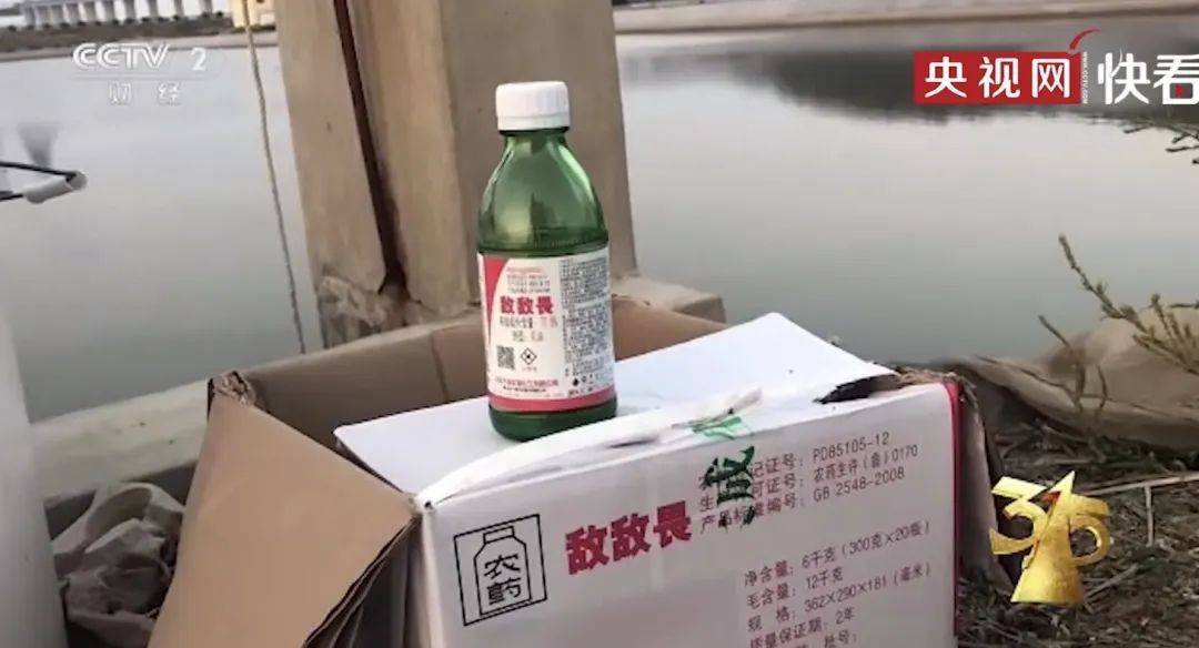 315晚會“海參敵敵畏事件"，老許還原海參背后的真相